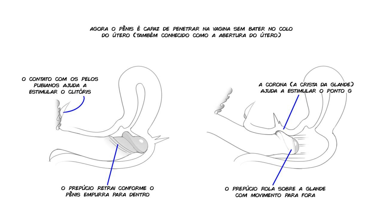 X-Ray Tutorial Hentai pt-br 05